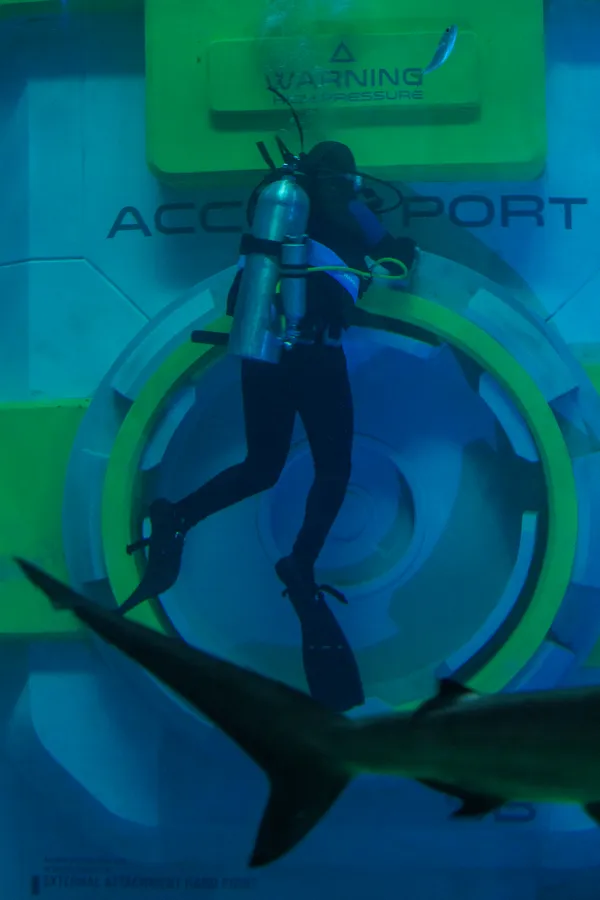 Between Worlds — Diver and Shark at SeaWorld Abu Dhabi thumbnail