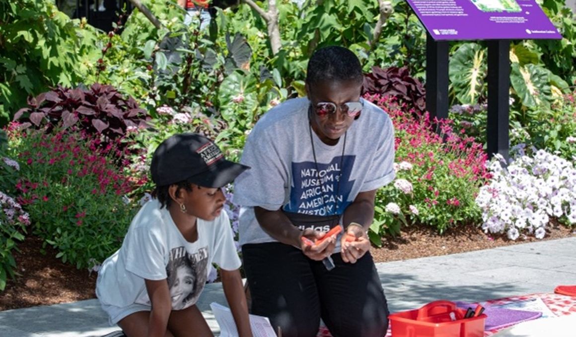 Education At The Smithsonian | Everything To Know About The Smithsonian ...