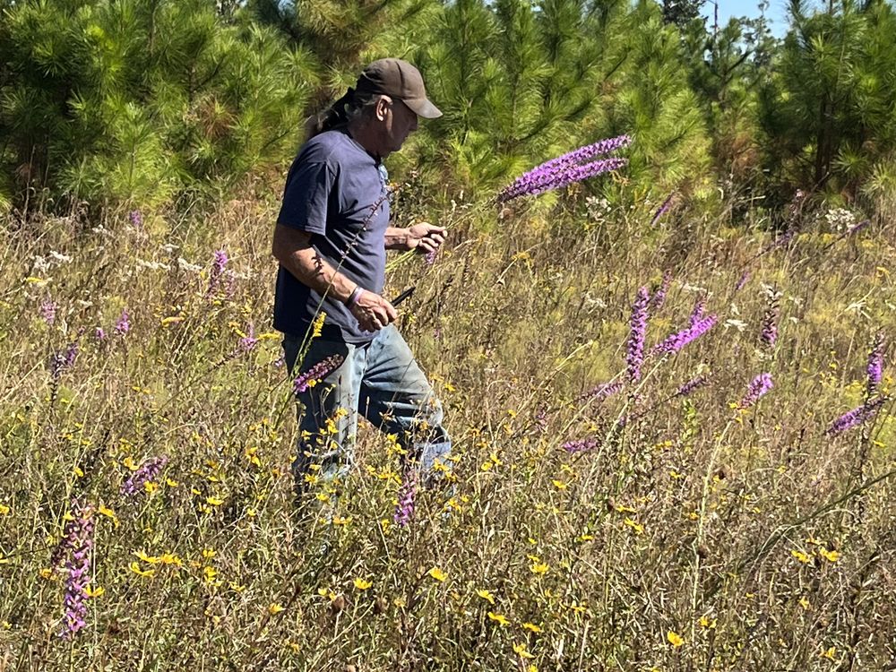 Picking Blazing Stars Smithsonian Photo Contest Smithsonian Magazine