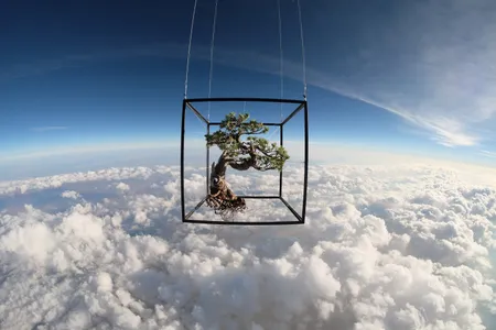 Shiki 1, a Japanese White Pine Bonsai suspended from a weather ballon as it ascends to the edge of space for artist Azuma Makoto's project Exobiotanica