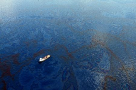 Microbes were used in the cleanup of the Deepwater Horizon oil spill.