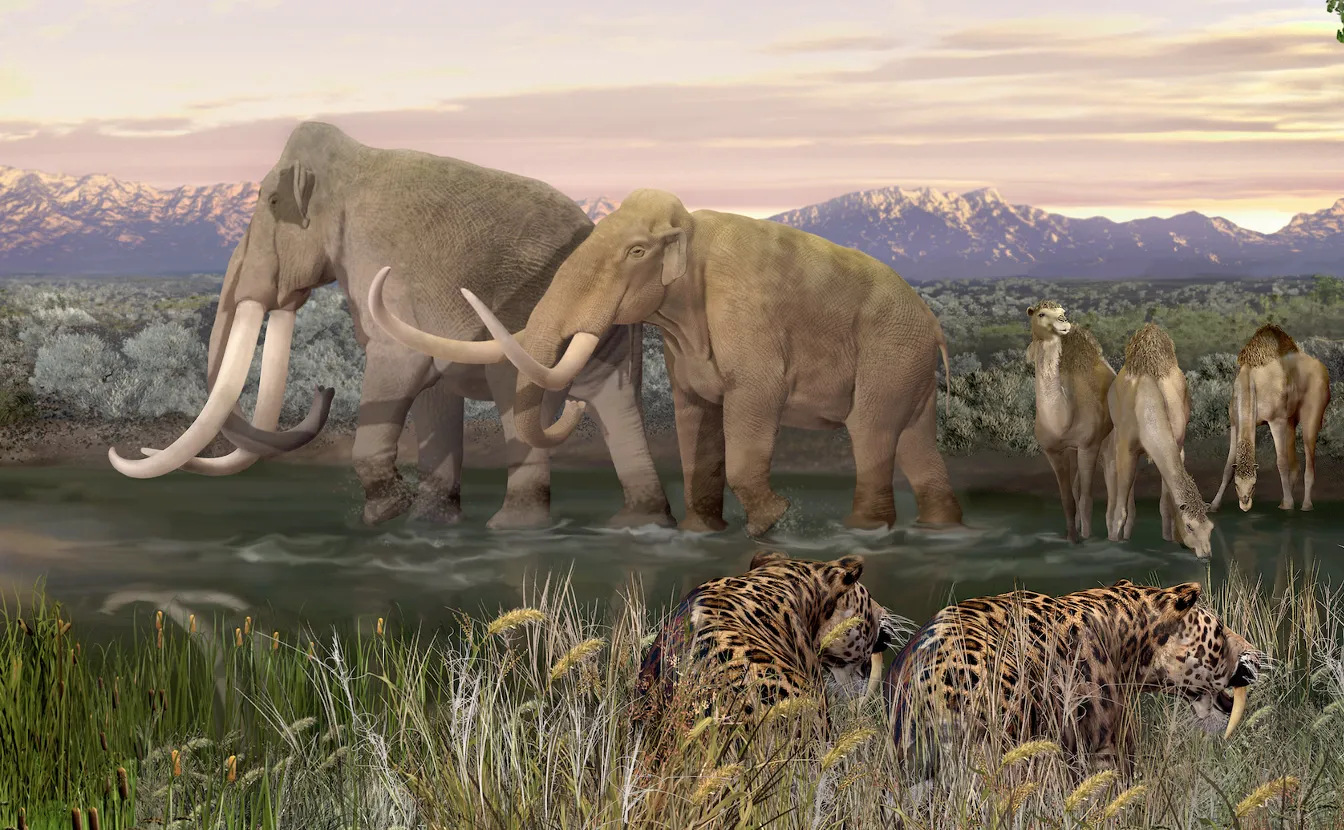 What the Demise of Mammoths Can Teach Us About Future Extinctions ...