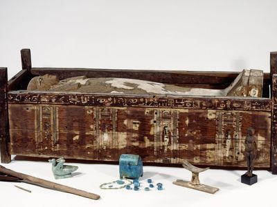 The sarcophagus of Tadja, one of the mummies from Abusir el Meleq that had its DNA analyzed in a new study.