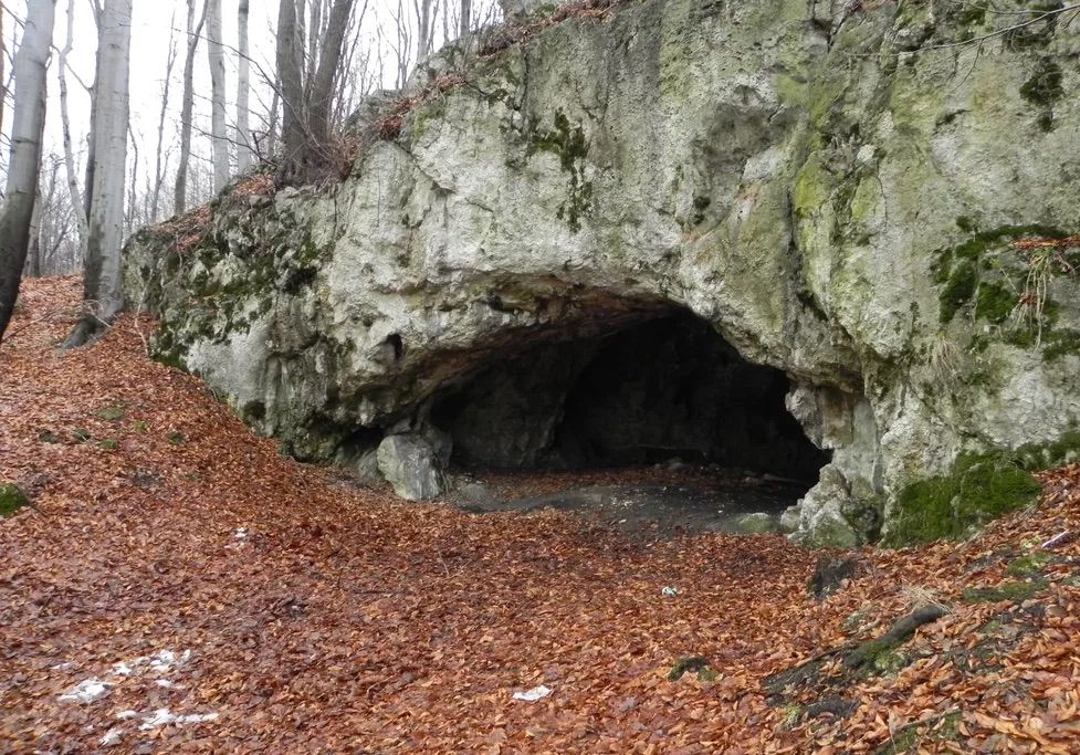 Maszycka Cave in southern Poland