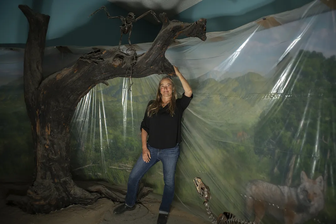 Juniper Tree