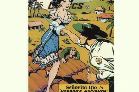 Lily Renée helped develop the Señorita Rio comic strip as one of the early woman creators in the industry. 
