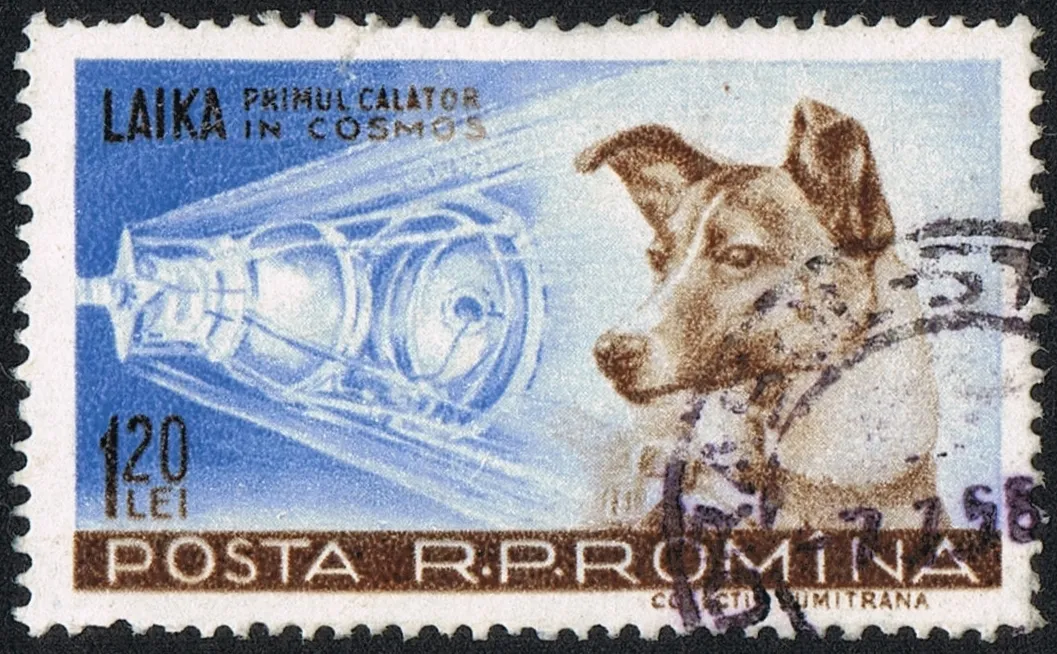 how long did laika live in space