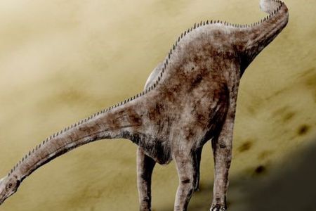Many artists work hard to bring dinosaurs to life with accurate details, but often products can be out dated or be careless with details like how Diplodocus held their necks.
