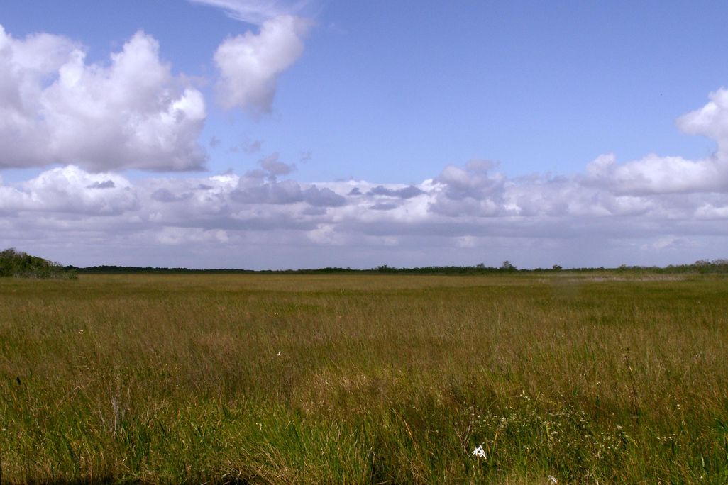 Everglades, Florida