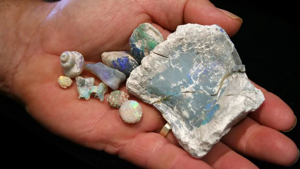 Opal Fossils in Hand