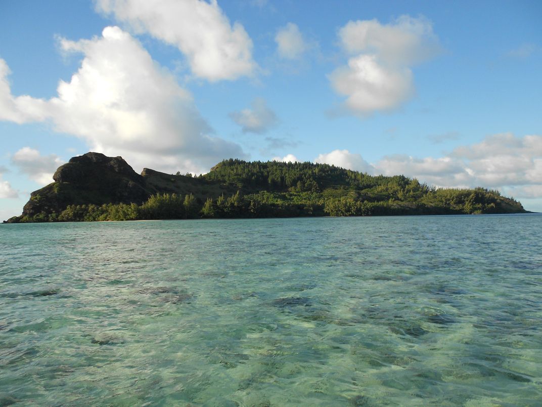 Rat Bones Reveal How Humans Transformed Their Island Environments