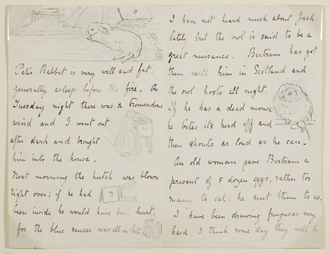 A handwritten letter in neat cursive script, scattered with drawings of a rabbit, an owl and other little creatures