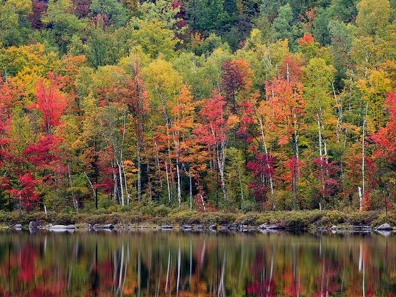 Fall colors explode in the Adirondack State Park. | Smithsonian Photo ...