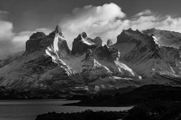 Monochrome Majesty thumbnail