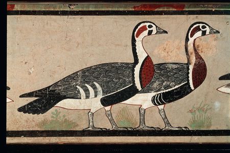 These brightly colored geese have no modern, real-world counterpart.