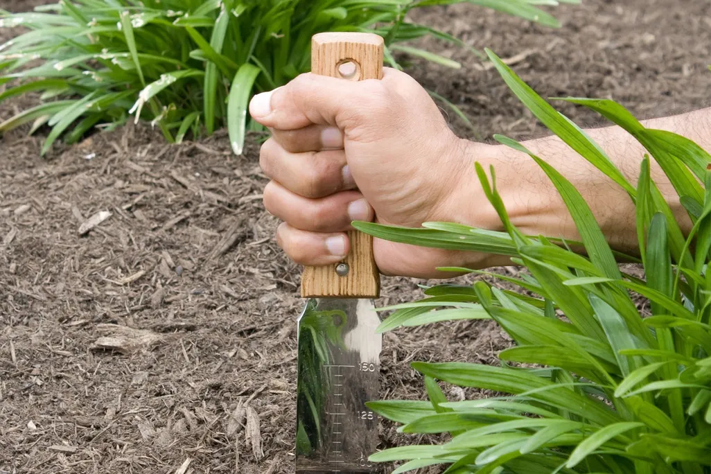 Garden Knife