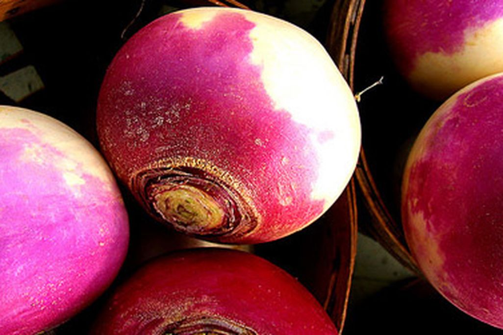 What was the secret to Grandma's turnips?