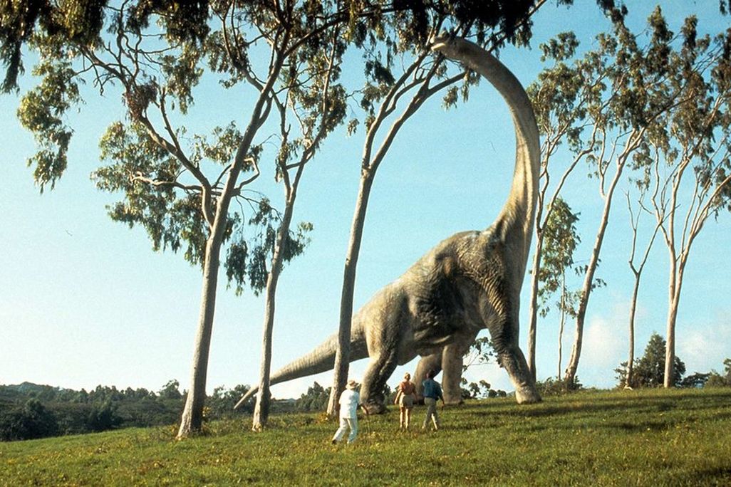 Universal Pictures via Getty Images