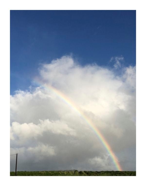 Rainbow over coffee fields in Hawaii thumbnail