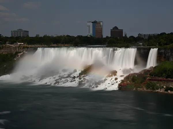 American Beauty thumbnail