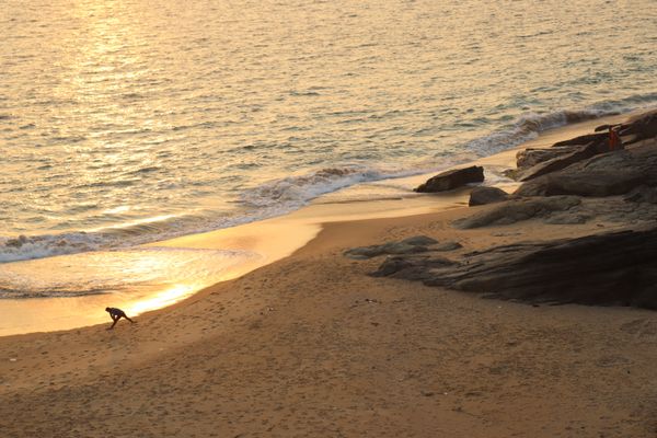 Exercising on the beach ! thumbnail