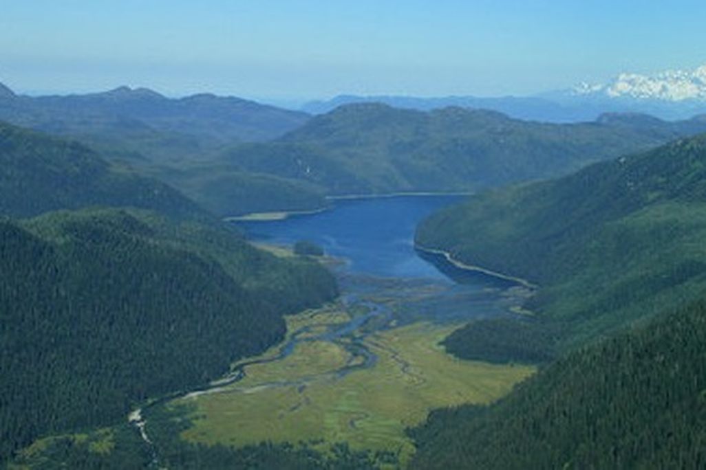 Greenland may eventually resemble the lush Tongass National Forest in Alaska.