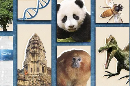 The list covers findings in biology, justice and human rights, the environment, and more.