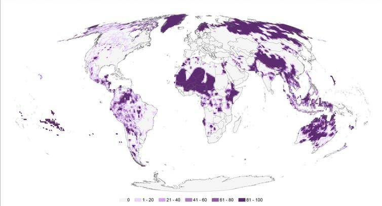 Indigenous Land