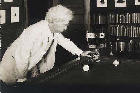 Mark Twain's love of cats pervaded his literature as well as his writing habits.