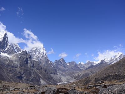 With the Khumbu valley and Cholatse peak in the background, shrubs grow at about 4,900 meters about sea level. 
