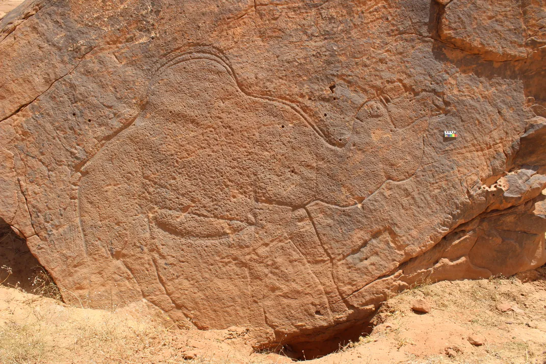 A camel engraving at Jebel Misma
