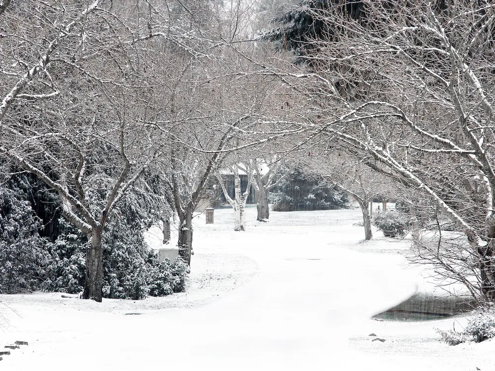 Around December 21, the Northern Hemisphere tilts the farthest away from the Sun. This is called the northern winter solstice, and it is when we have the least amount of daylight of any time of the year.