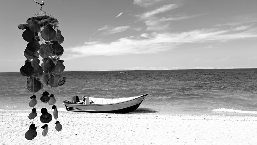 A sunny day on the beach with shells and color and calm.