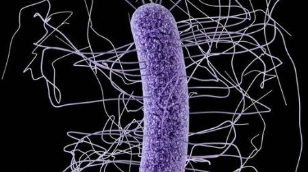 Superbugs are making public health experts very nervous.