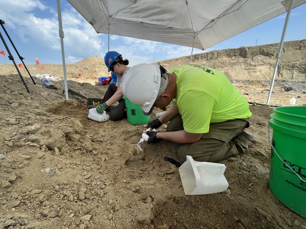 Paleontologists working at dig site in North Dakota