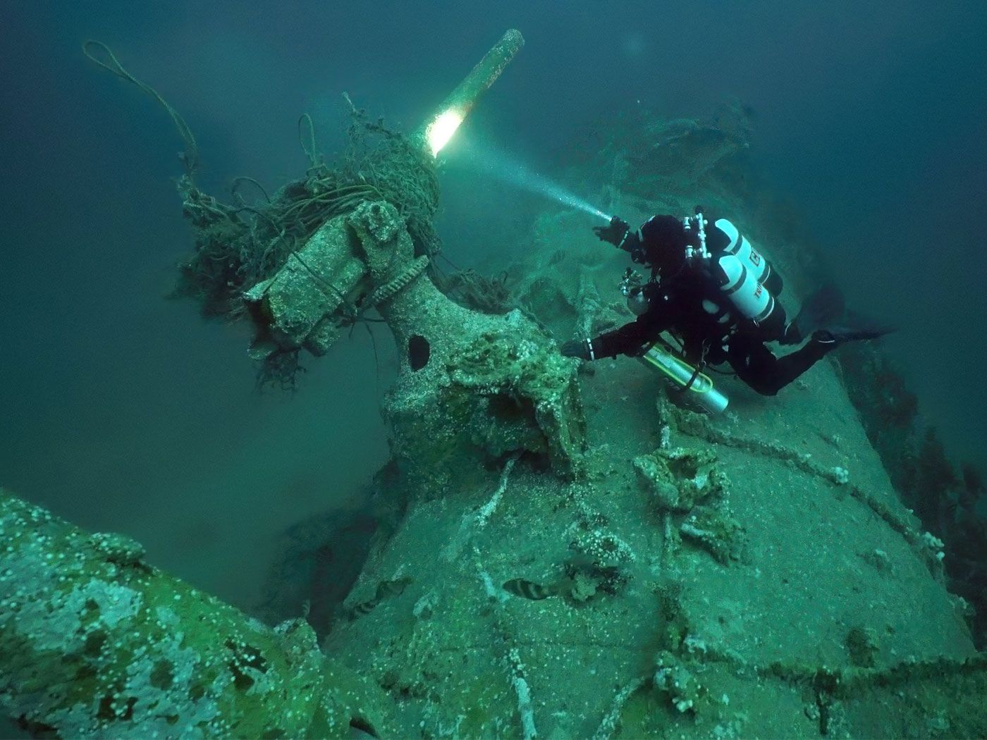 www.smithsonianmag.com