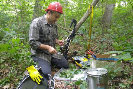 Uzay Sezen, wearing a red hard hat, kneels in a forest with a crossbow on his left and a sample of green leaves in front of him