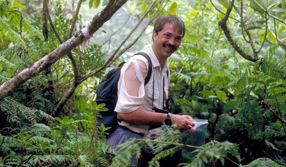 A man wearing a ripped white shirt stands among thick greenery, holding a plastic sample bag