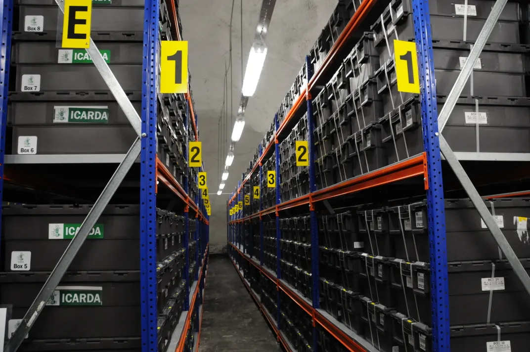 Shelves inside the Global Seed Vault