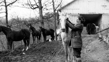 Why Debutantes Volunteered to Be Horse-Riding Couriers in Rural Kentucky
