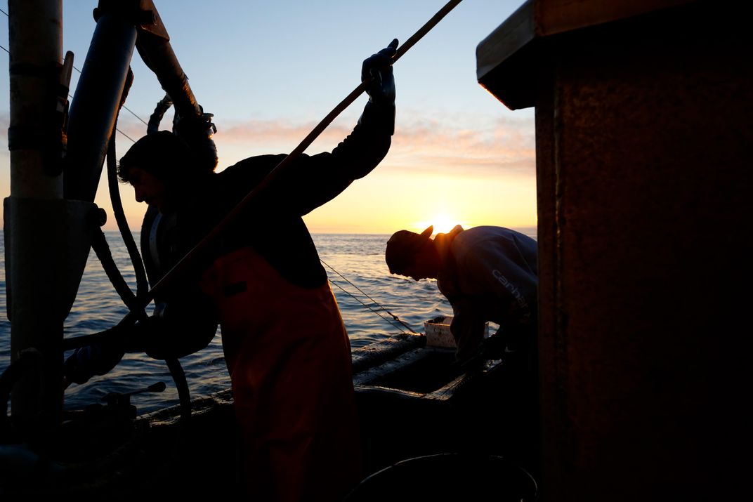 A New Tool May Help Crab Fishers Sidestep Dead Zones