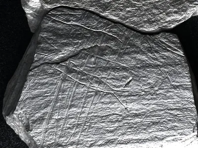 These Ice Age Artworks Etched Into Rock 15,800 Years Ago May Be the Earliest Known Depictions of Fishing image