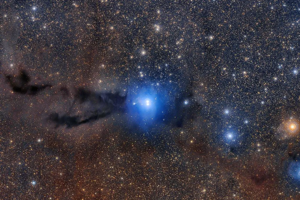 Lupus 3