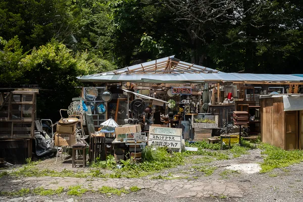 An Antique Shop thumbnail