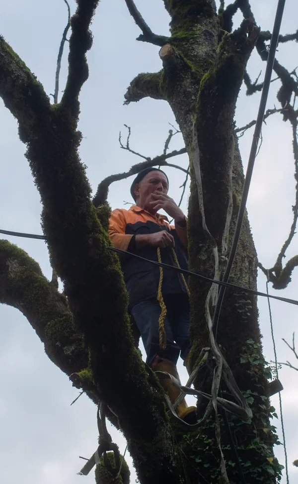 A Necessary Break thumbnail