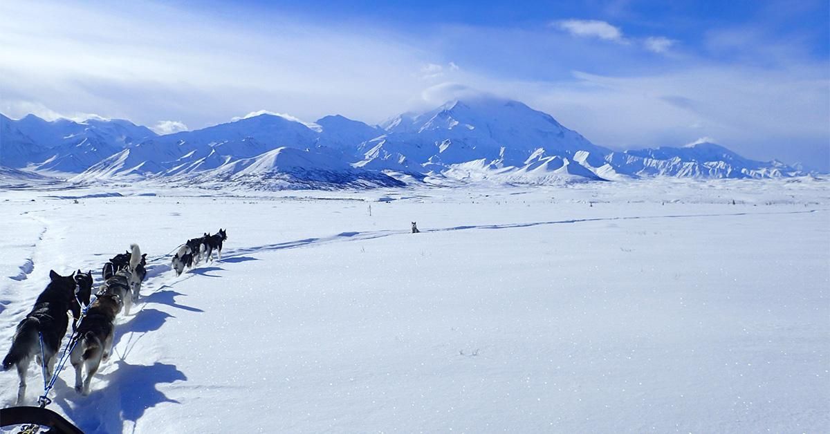 Denali National Park 