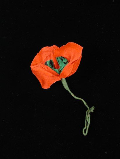 Photo of a paper poppy with red petals and a green stem