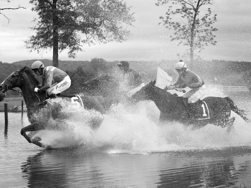 tamed-horses-smithsonian-photo-contest-smithsonian-magazine