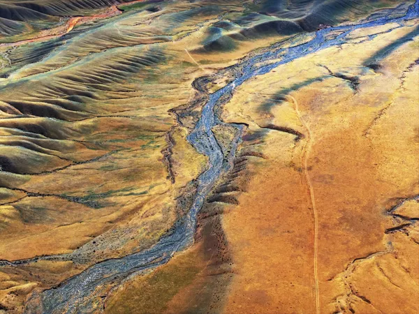 Blue vein on golden mudflats thumbnail