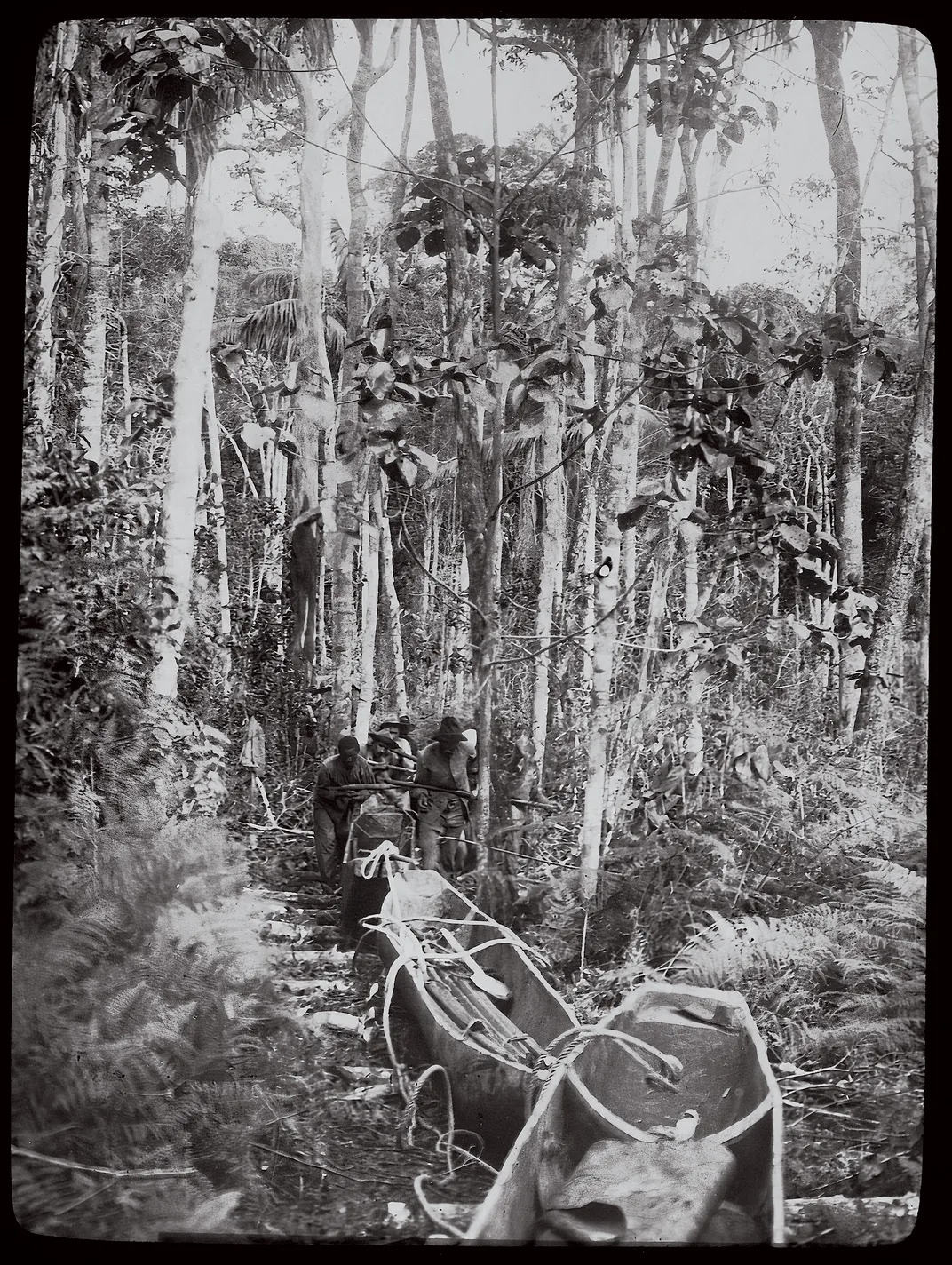 a group of hikers carrying canoes through a jungle atmospher